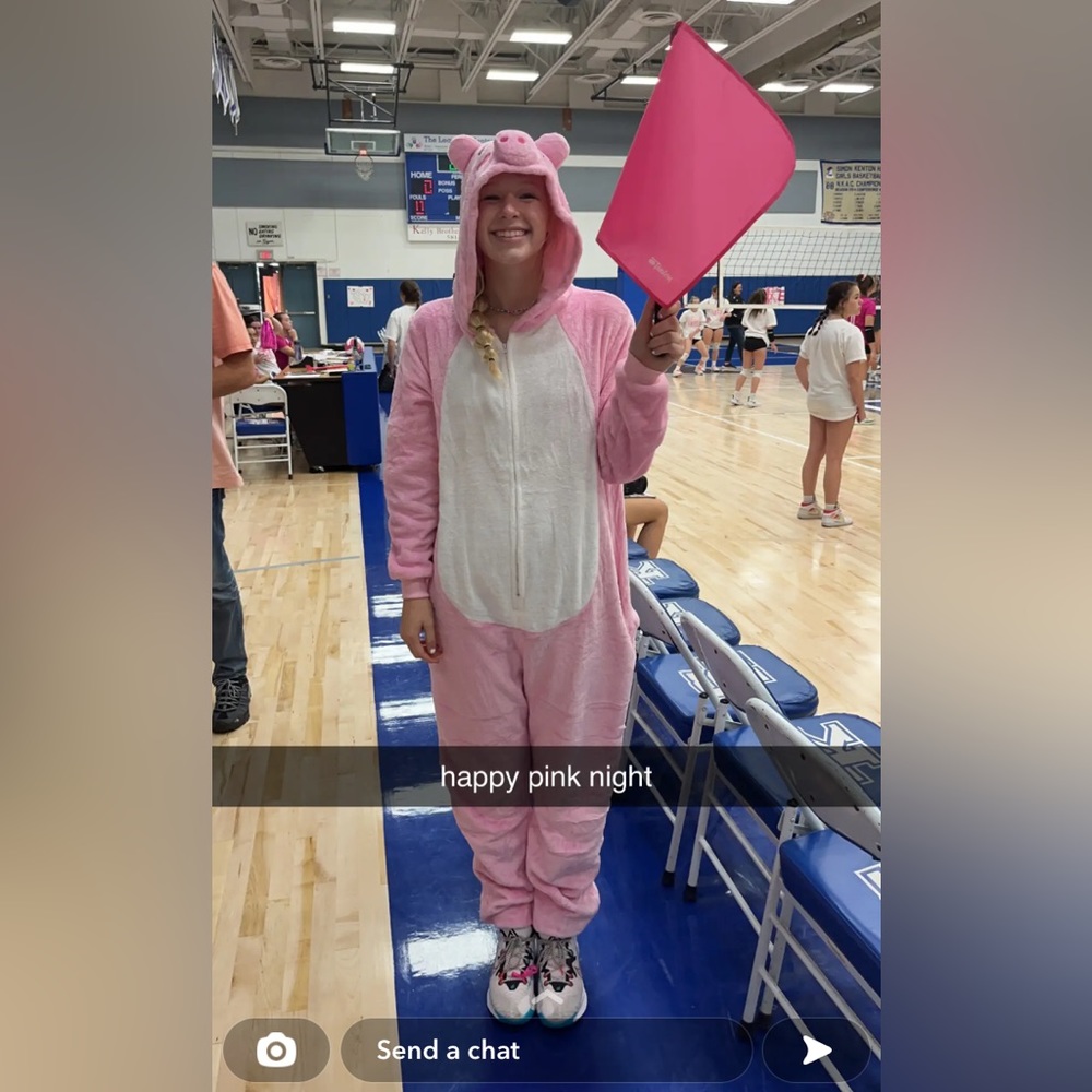 pig costume, soft and fluffy